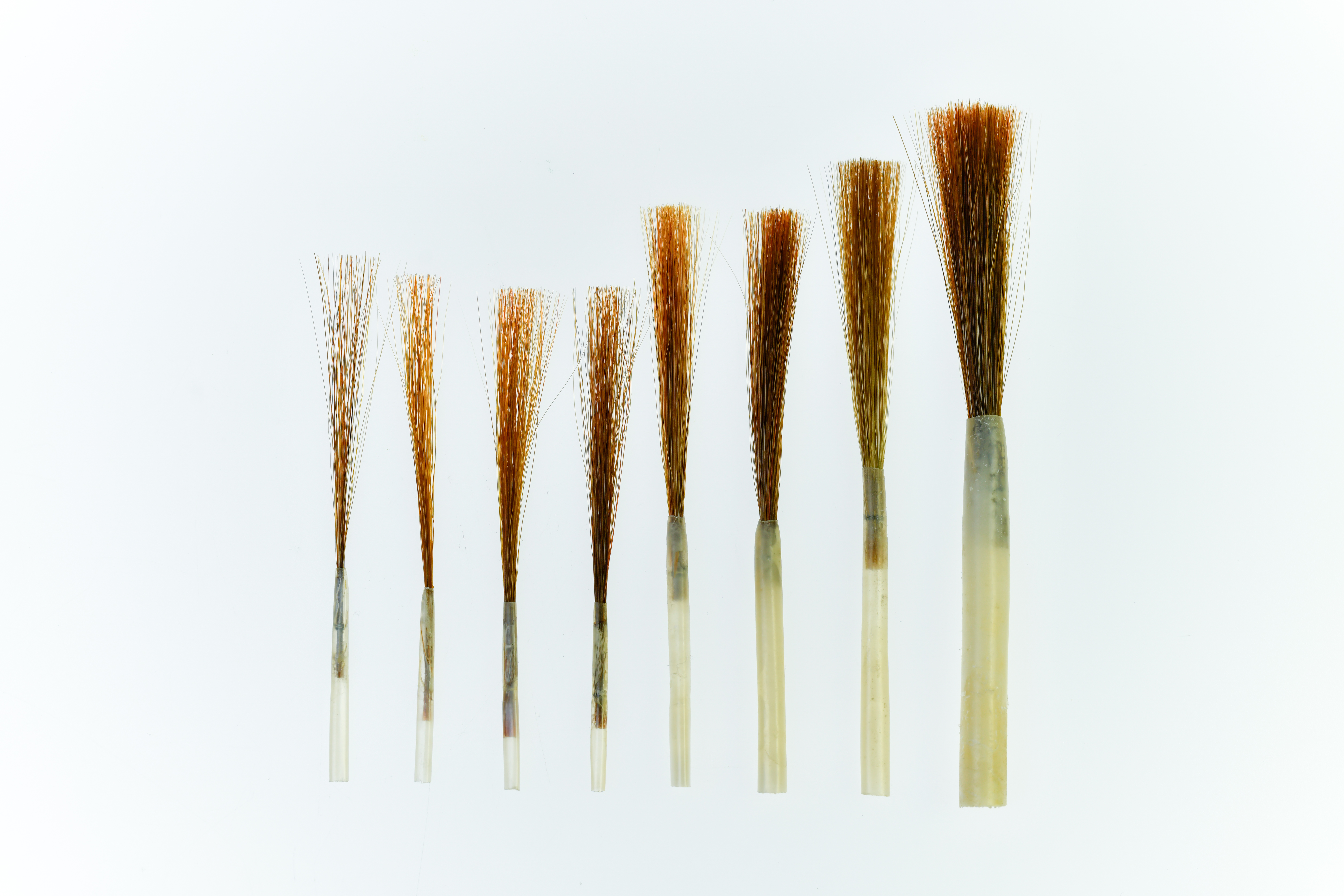 Series 1249 Ox Hair Liners in Quill